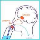 Garrafa de Água AQUASENSE + 2 Anéis de Aroma - Hidratação Fácil e Inovadora
