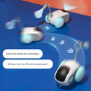 CatDrive, Brinquedo Interativo com Controle Remoto para gatos!