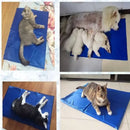 Tapete Gelado Para Pets - 40x50